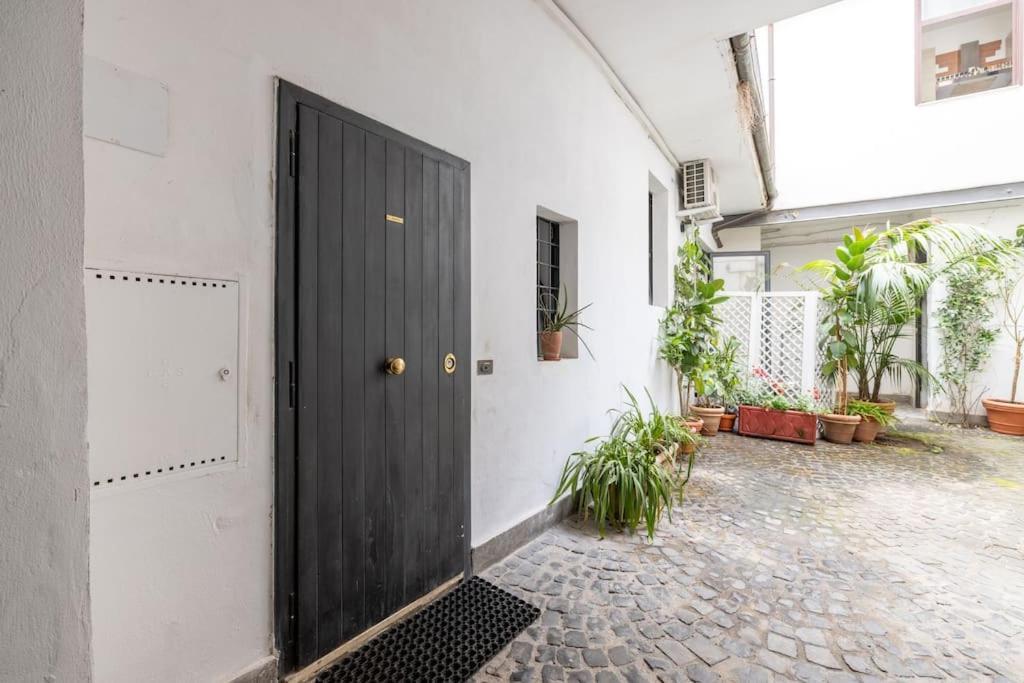 Colosseum Charming Apartment 罗马 外观 照片