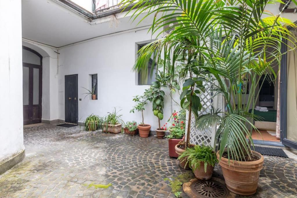 Colosseum Charming Apartment 罗马 外观 照片